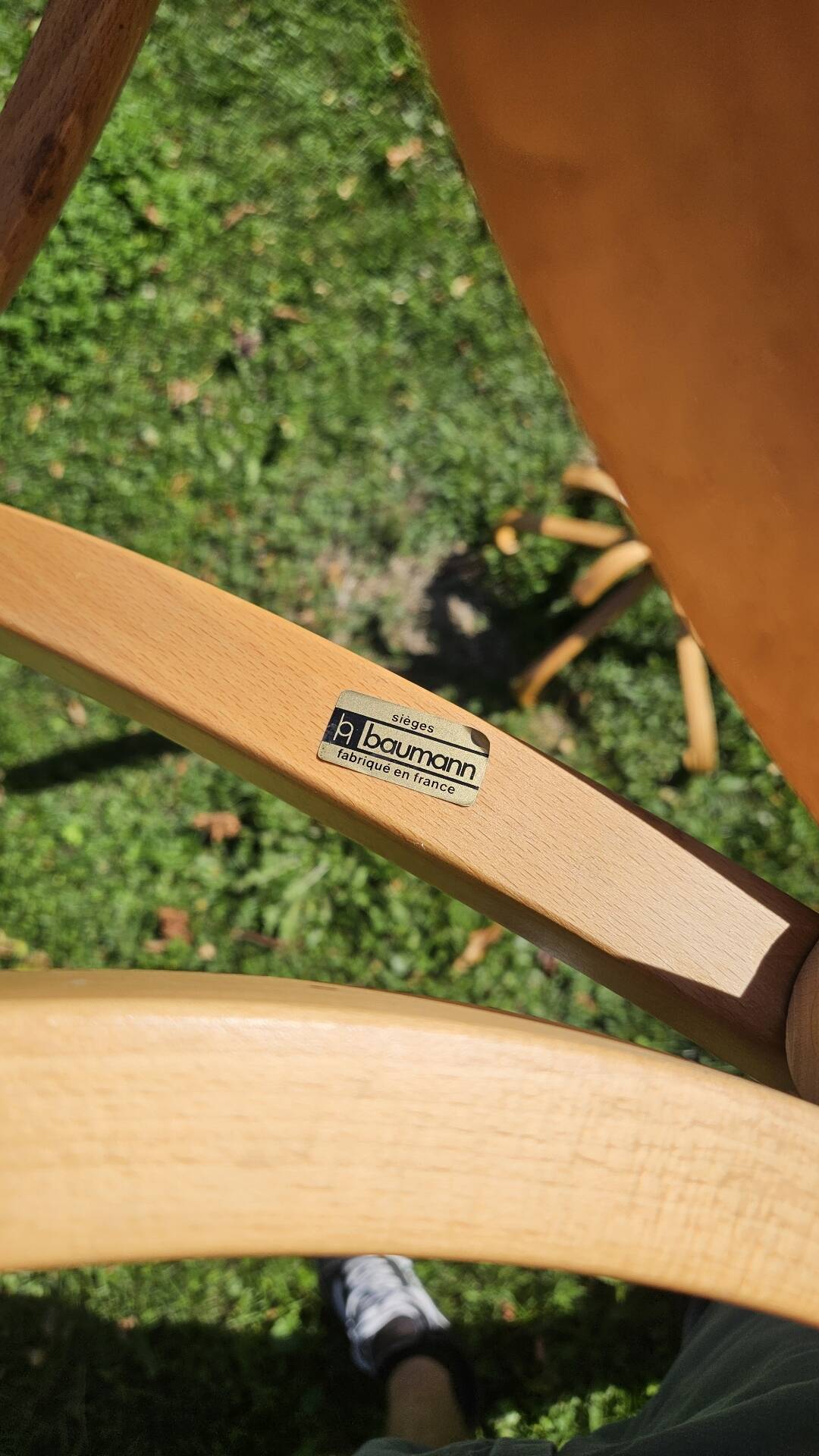 Porte manteau perroquet Baumann