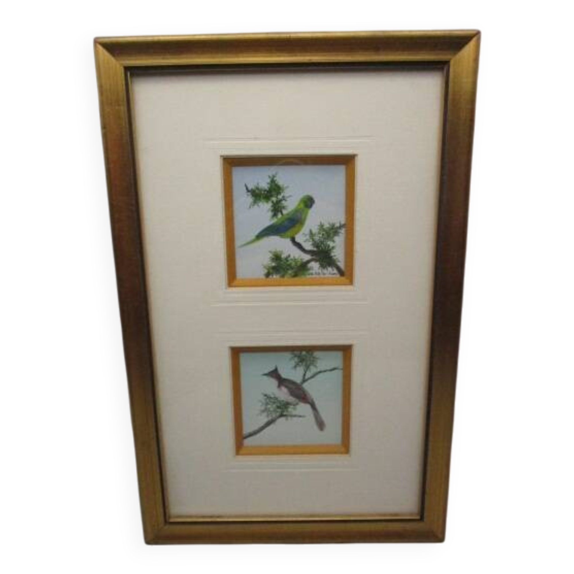 Frame 2 watercolors birds "S du Paty de Clam"