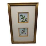 Frame 2 watercolors birds "S du Paty de Clam"