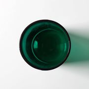 Green Mid-century Glass Vase Ek with Plant Pattern / Björkshults Glasbruk