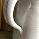 Pitcher speckled Roger Jacques