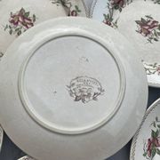 Set of 6 polychrome dessert plates Sarreguemines