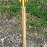 Vintage floor lamp in gilded brass with 5 glass tulips from the 50s