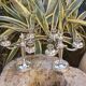 Pair of chandeliers model beads silver metal Christofle