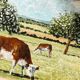 Pastoral oil painting, cows in the meadow