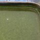Vintage enamelled ceramic pocket emptier signed, 60s/70s