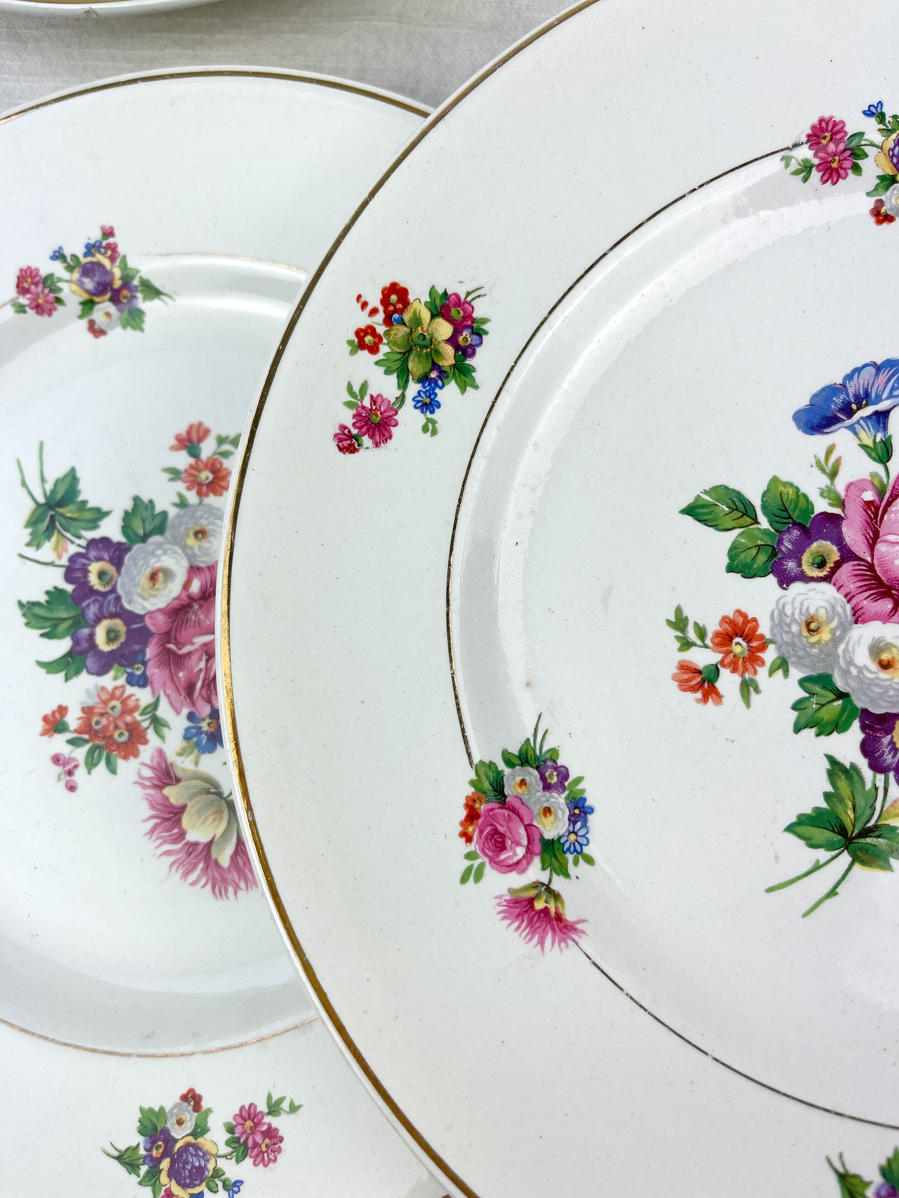 6 assiettes terre de fer salins modèle "anny" motif fleuris