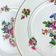 6 assiettes terre de fer salins modèle "anny" motif fleuris