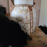 Rice basket