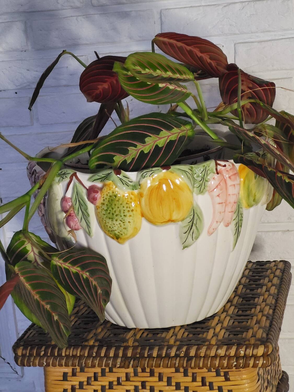 Fruit pot cover