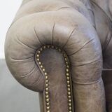 Grey Cowhide Leather Chesterfield Club Armchair in English Style on Casters