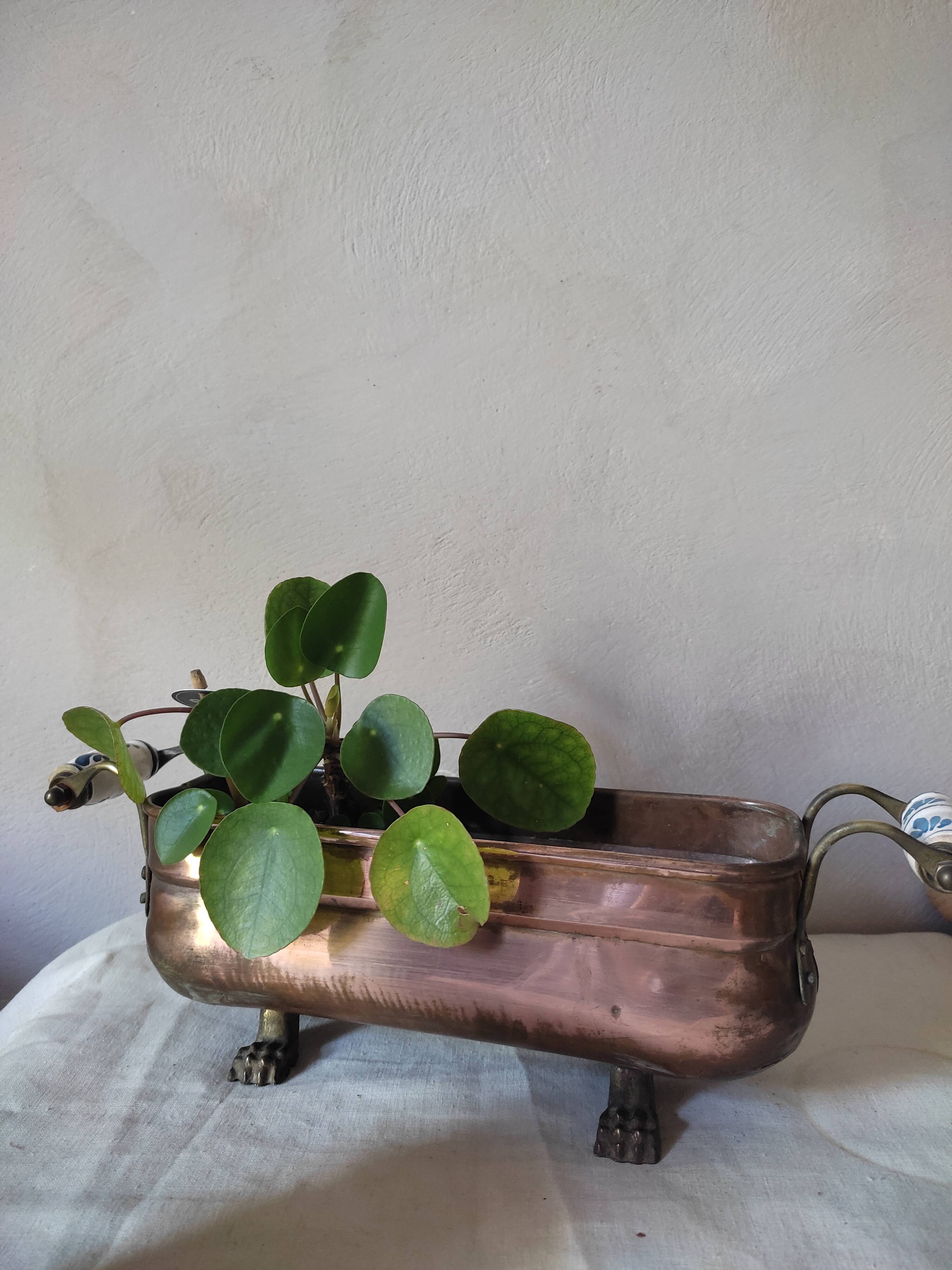 Copper planter