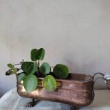 Copper planter