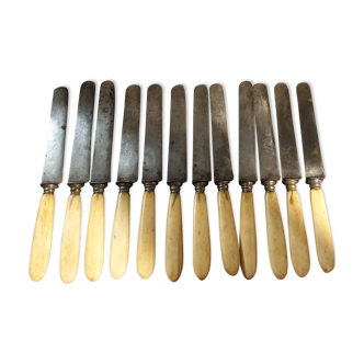 12 couteaux manche ivoire XIXème