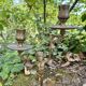 Pair of brass cherub candlesticks