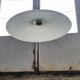 White opaline suspension