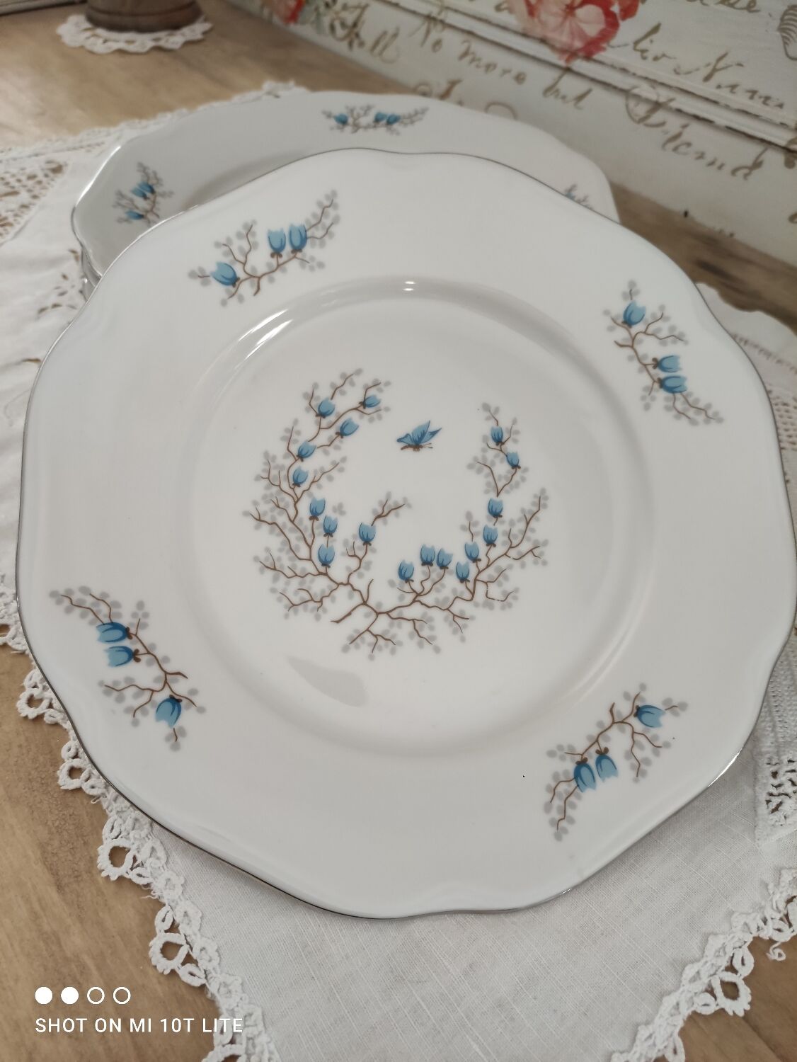 Lot de 7 assiettes plates en porcelaine Czecoslovakia modèle Bohemia