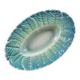 Oval slip dish