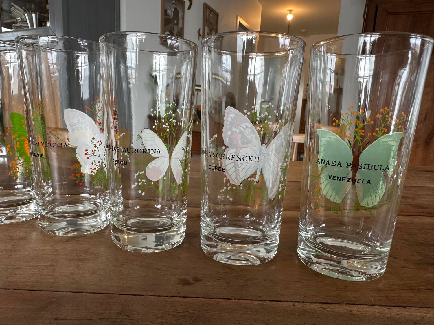 Set of 6 vintage glasses with butterfly decoration – 70s/80s