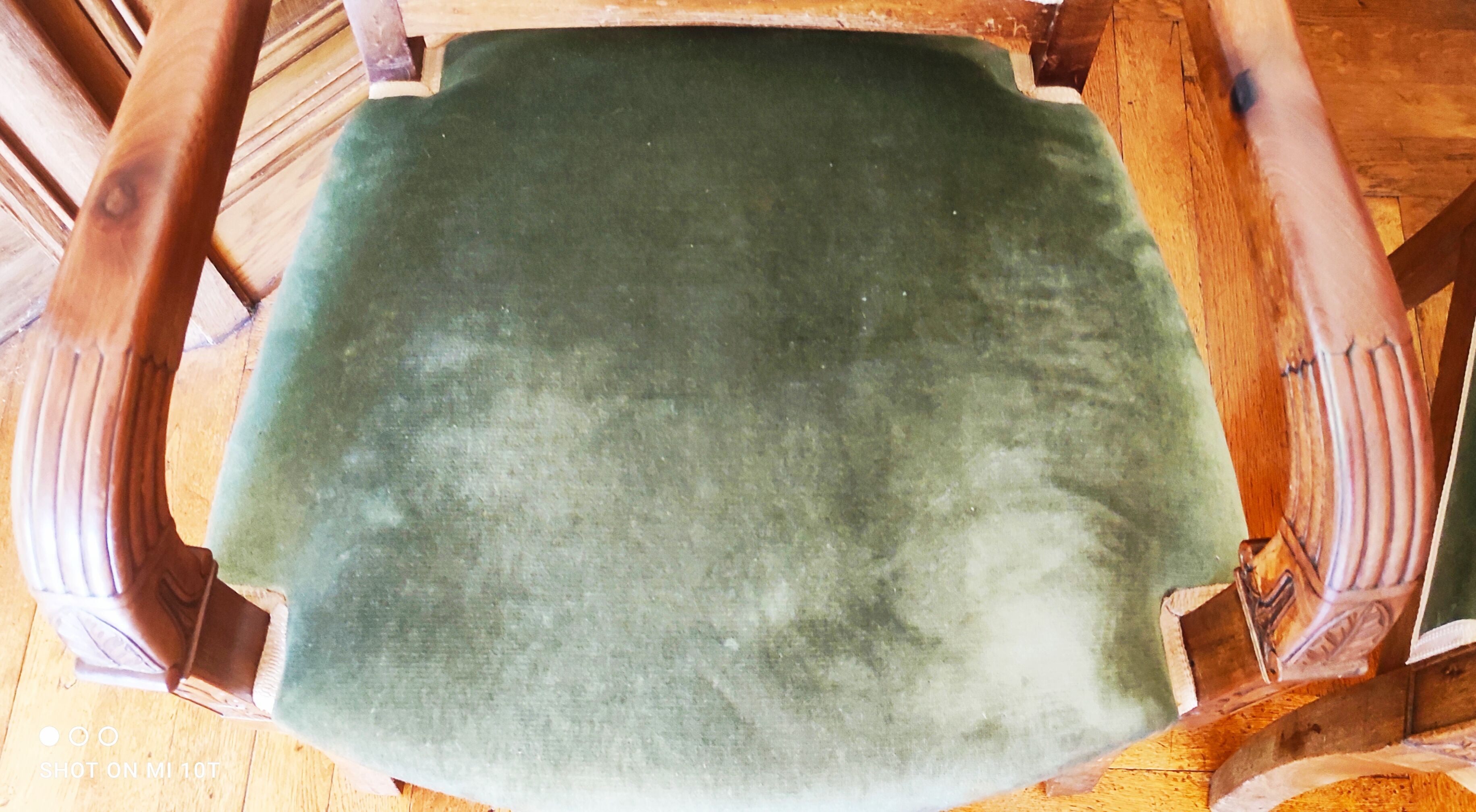 Pair of mahogany armchairs/palm décor/Restoration period