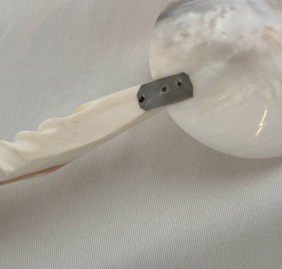 1920 French Antique Mother of Pearl and Shell Large Spoon