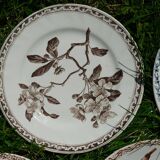 Set of 7 different iron earth plates