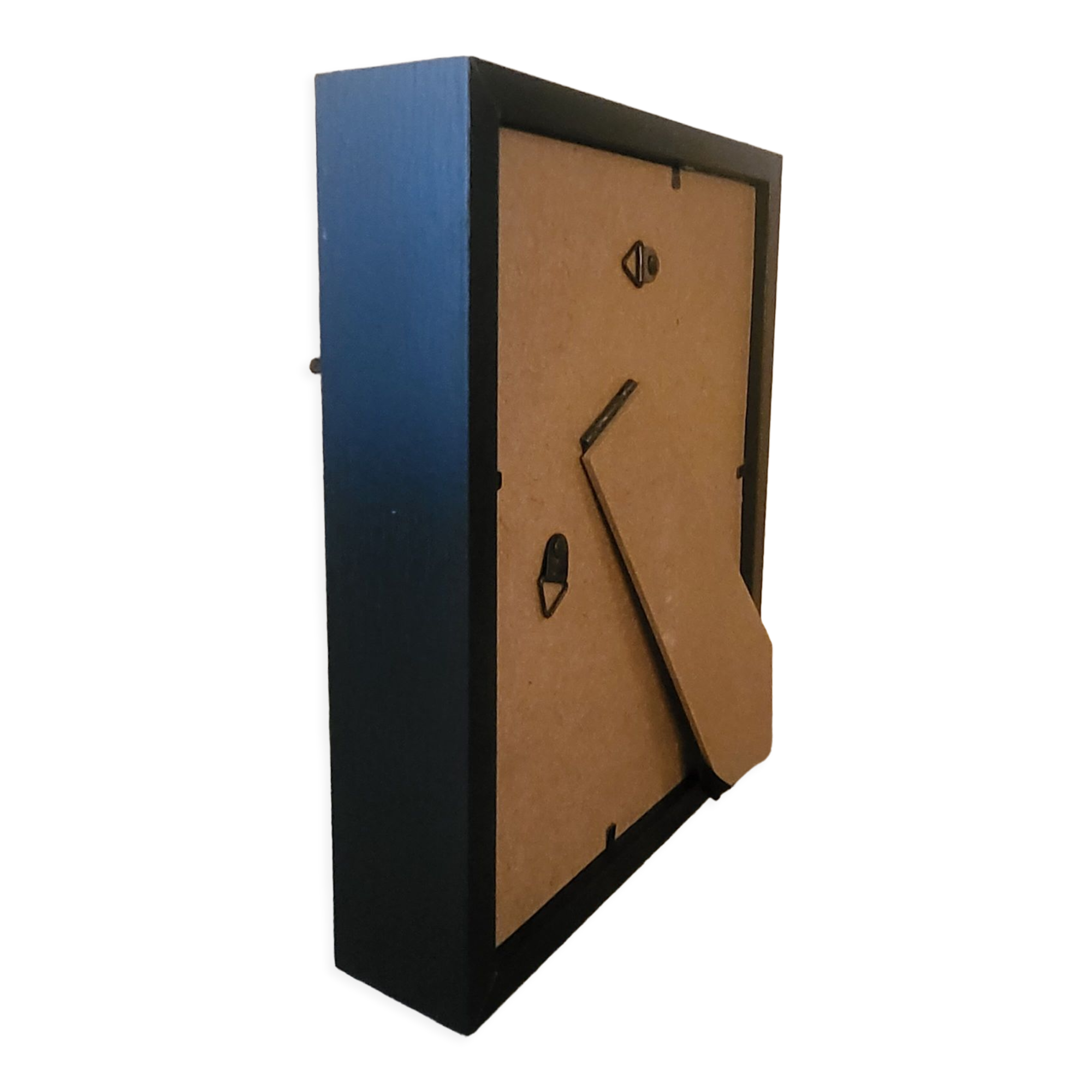 Goliathus entomology