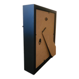 Goliathus entomology