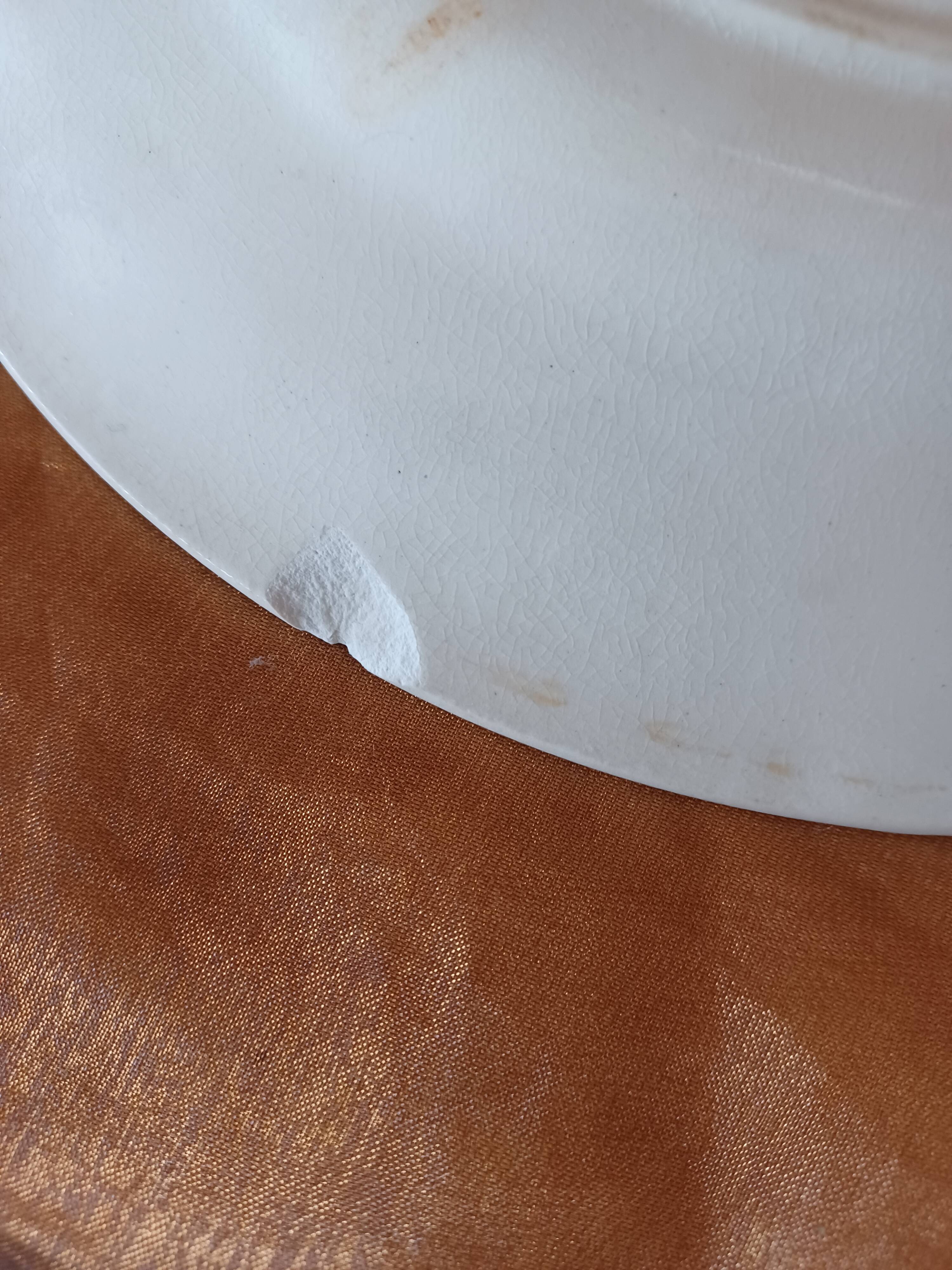 Terre de Fer Gien plate, Florentine decor