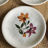 Series of 10 dessert plates