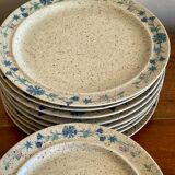 Lot de 16 assiettes Tulowice Pologne