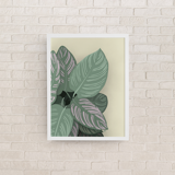 Illustration "Tropical leaves" by Noums Atelier