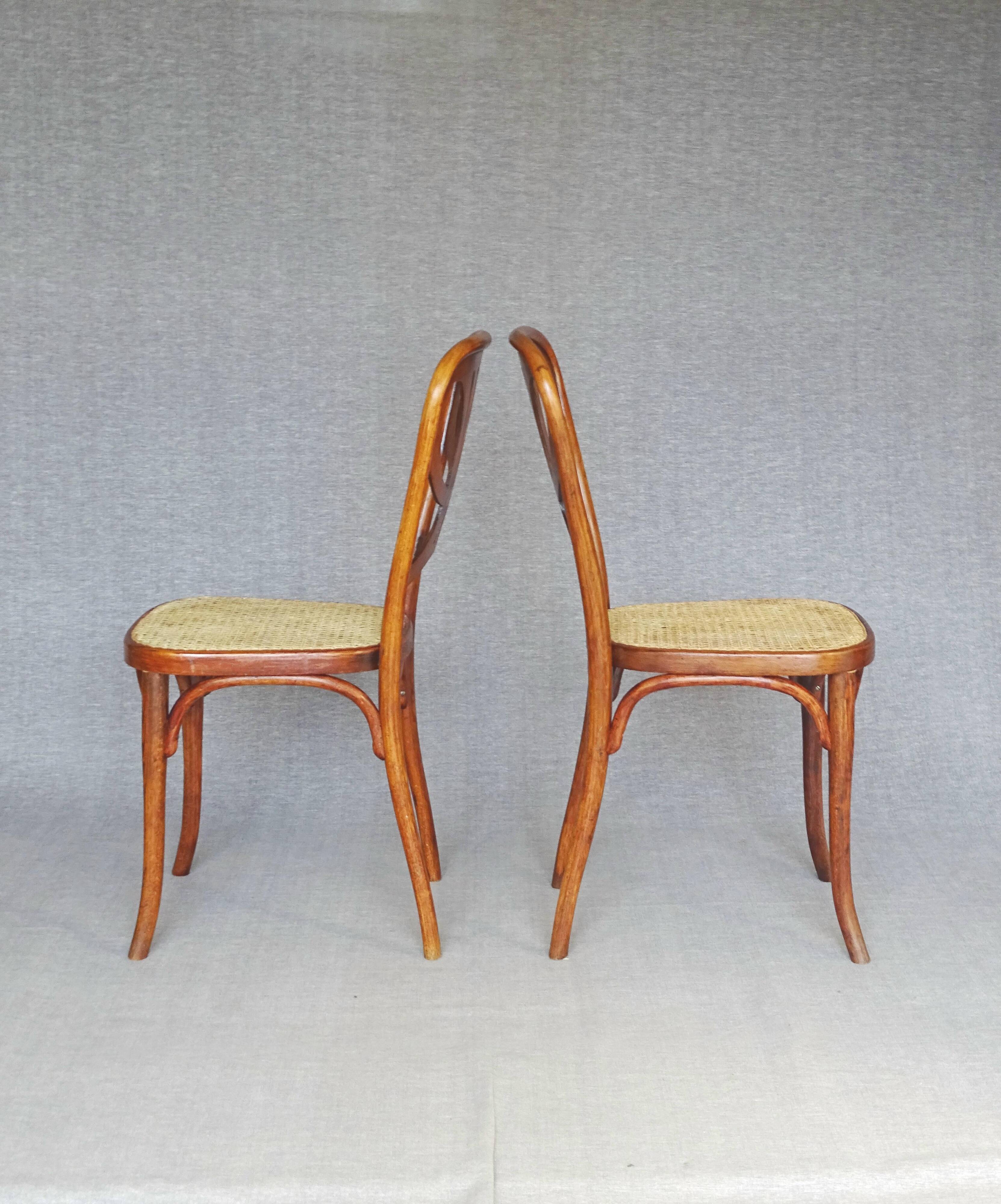 2  Chaises Thonet N°642, 1910, Art nouveau