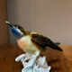 Ceramic bird
