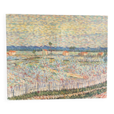 Oil on canvas fields