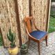 Walnut chair Empire style