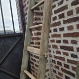 Old tree trunk ladder