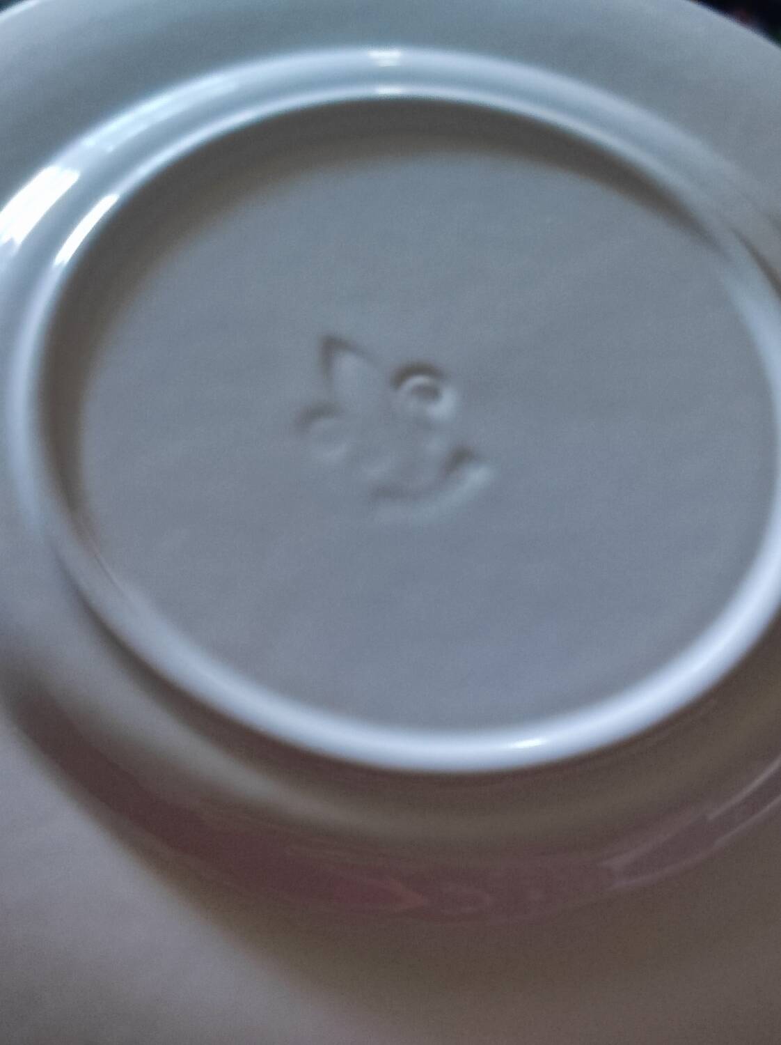 Vintage porcelain dinner plates