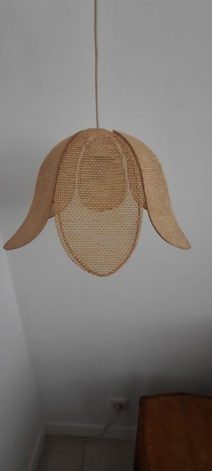 Suspension in metal and rafia