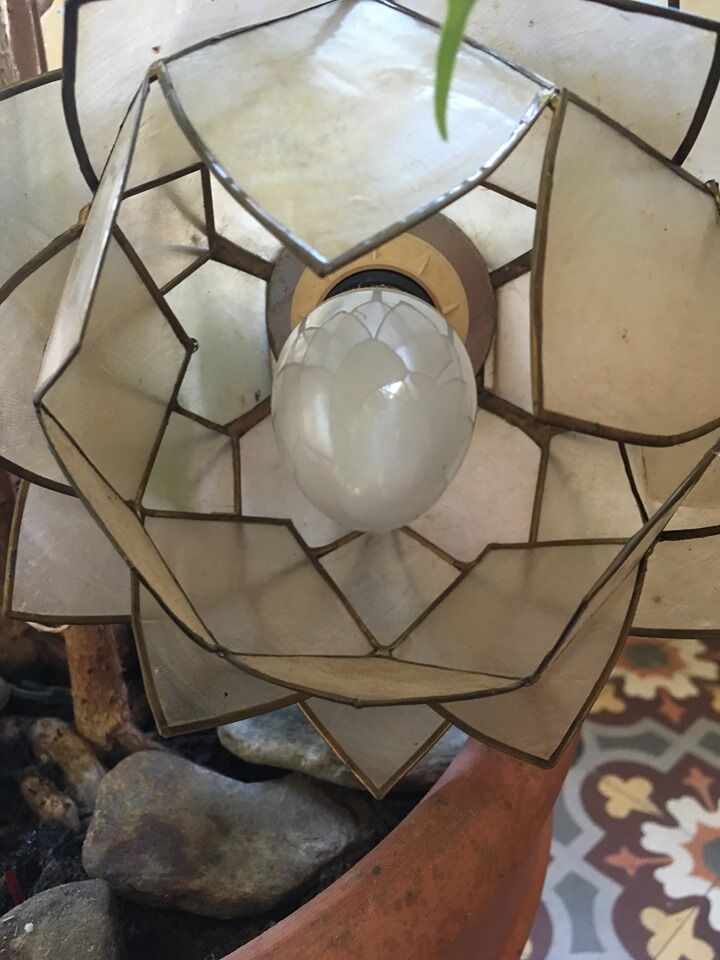 Lotus wall lamp in mother-of-pearl petals