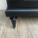 Showcase cabinet of curiosities black and wood