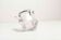 Cendrier cristal d'arques 1960