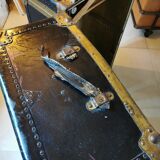 Transport trunk