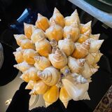 Shell basket