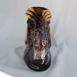 Pitcher fish