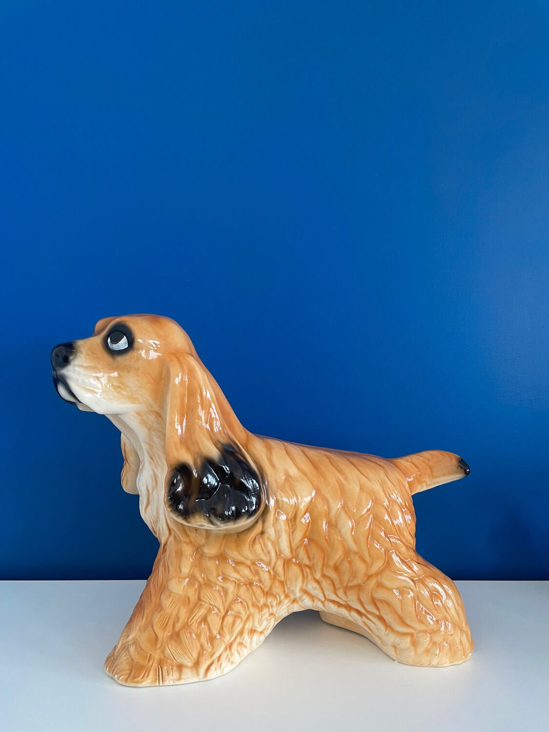 English Cocker Spaniel Dog Status