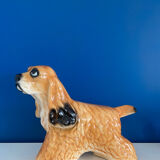 English Cocker Spaniel Dog Status