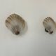 Pair of shell wall lights, glass and brass, France 1960