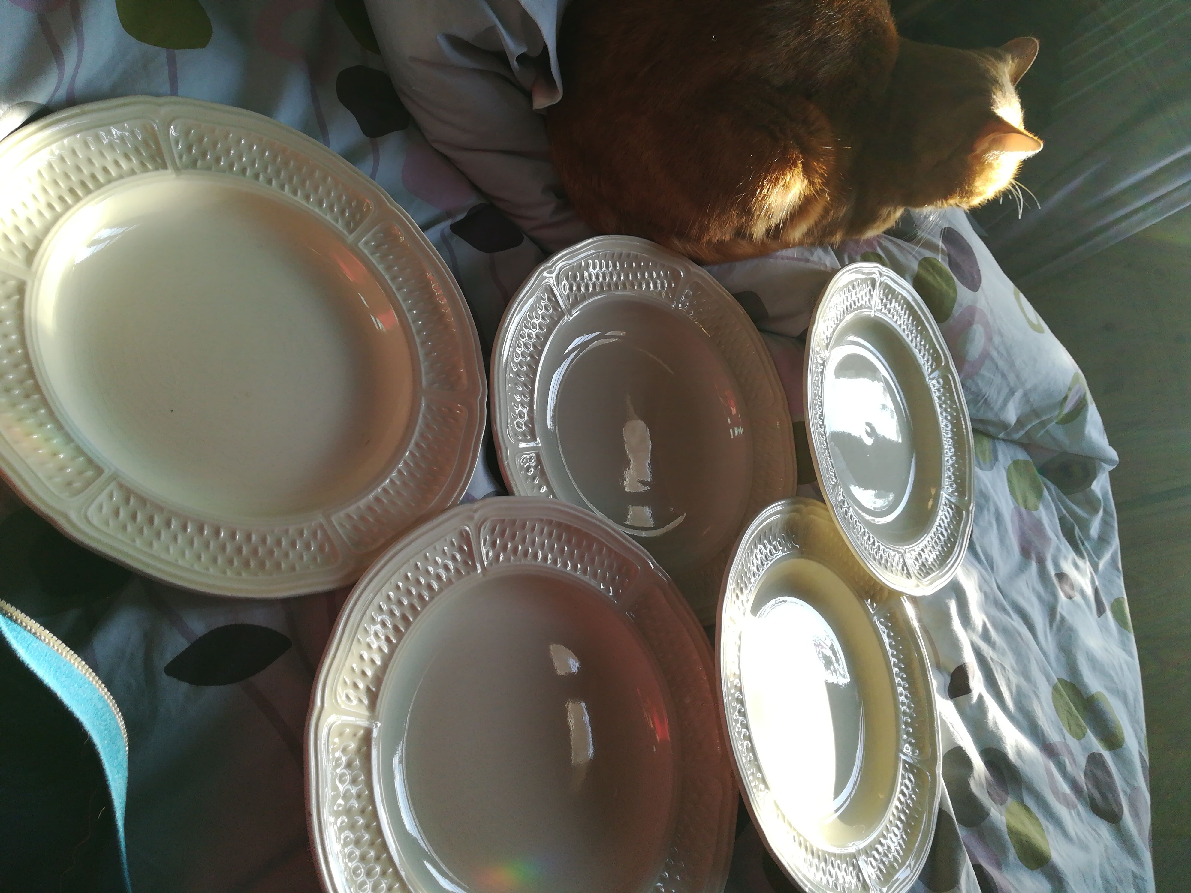 5 Gien- Cabbage Bridge Plates