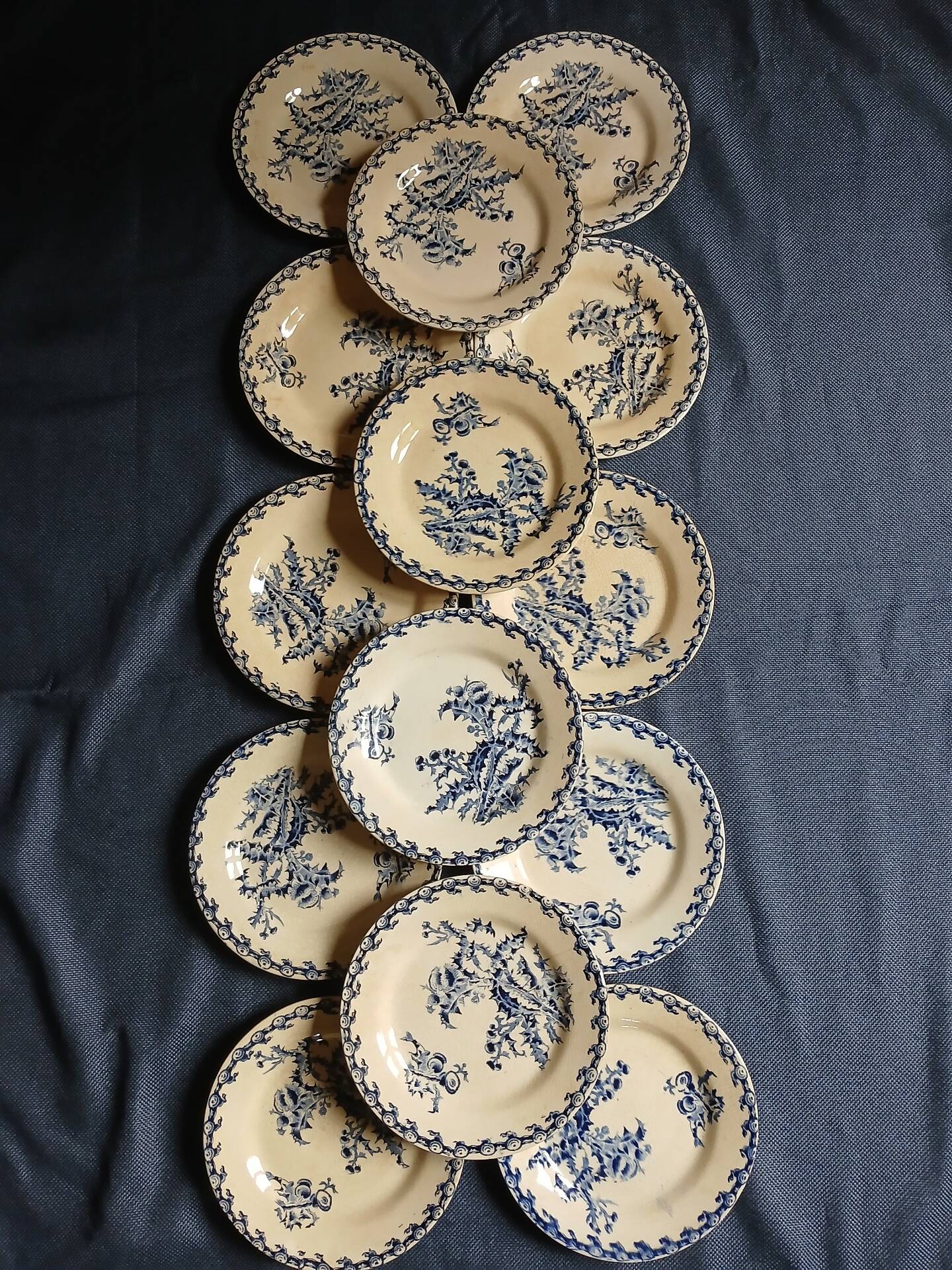 14 dinner plates + 2 "Chardons" dishes from Gien